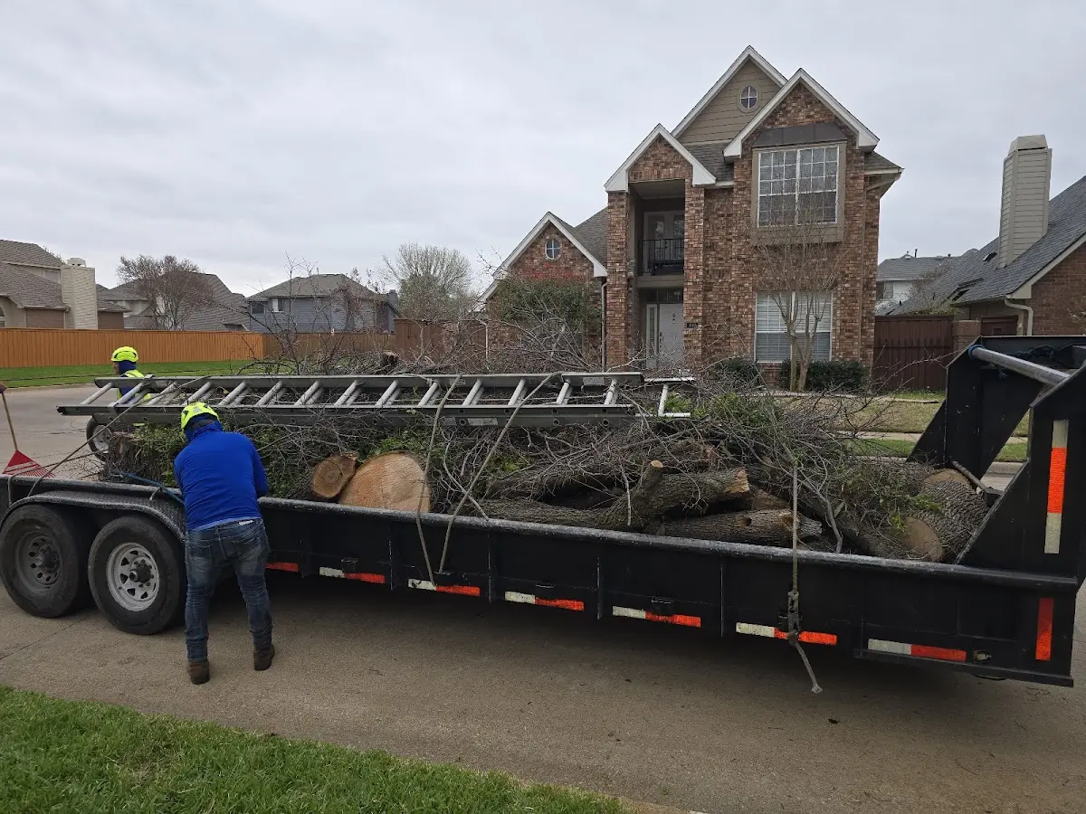 Expert Crown Reduction with proper safety equipment in Du Quoin